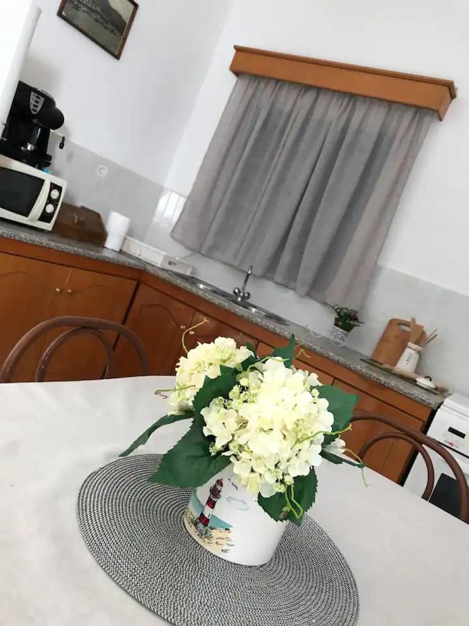 Villa Konstantina Skalia Экстерьер фото